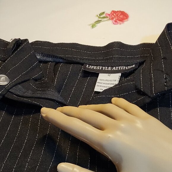 Life Style, Attitude, Not Worn, Women's Pinstripe Dress Pants, Size 12 - Picture 6 of 10